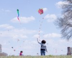 DC Kite Festival