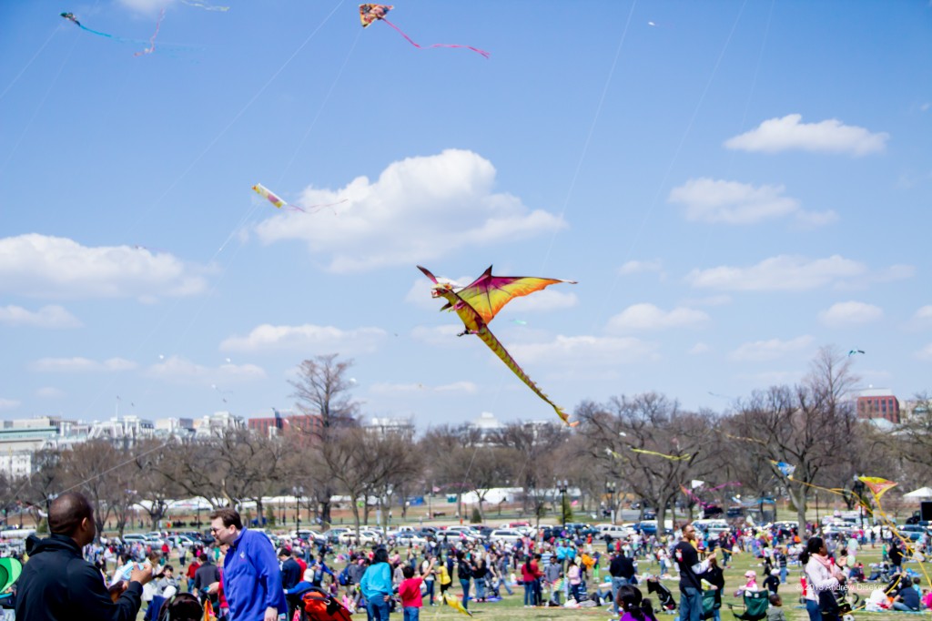 DC Kite Festival Nerdwatch!