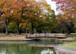 Nerdtour 2012 flashback:  Yoyogi Park, Tokyo